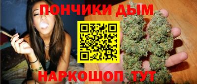 гидропоника Добрянка