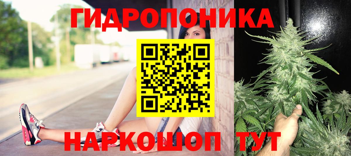 МАРИХУАНА OG Kush Бахчисарай